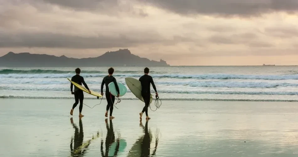 Top Attractions in Santa Cruz: Beaches, Boardwalks & More