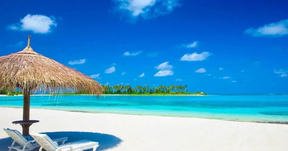 Explore Santa Cruz Beaches: Best Spots for Swimming, Surfing & Relaxation