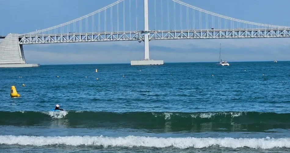 Explore Santa Cruz Beaches: Best Spots for Swimming, Surfing & Relaxation