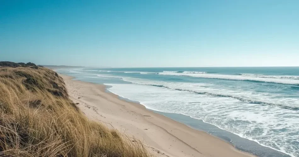 Explore Santa Cruz Beaches: Best Spots for Swimming, Surfing & Relaxation