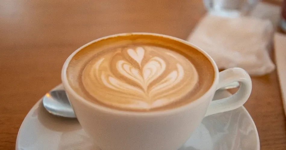 Santa Cruz Food Guide: Best Restaurants, Cafés & Coastal Eats